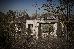 Pashan Garh, A Taj Safari - Panna National Park photo 4