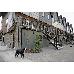 Thumbnail 45