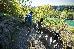 Thumbnail 60