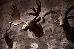Thumbnail 28