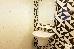 Thumbnail 33