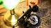 Thumbnail 22