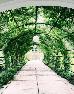Thumbnail 29