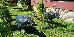 Thumbnail 132