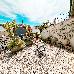 Thumbnail 13