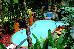Thumbnail 97
