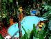 Thumbnail 104