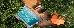 Thumbnail 15