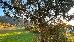 Thumbnail 52