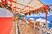 Thumbnail 32