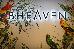 Thumbnail 82