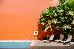 Thumbnail 57
