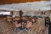 Thumbnail 109