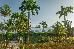 Thumbnail 26