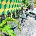 Thumbnail 16