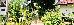 Thumbnail 45