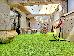Thumbnail 29