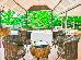 Thumbnail 49