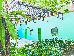 Thumbnail 34