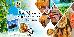 Thumbnail 22