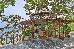 Thumbnail 24