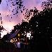 Thumbnail 14