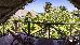 Thumbnail 93