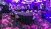 Thumbnail 87