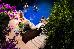 Thumbnail 106