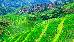 Thumbnail 20