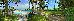 Thumbnail 138