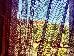 Thumbnail 25