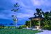 Thumbnail 77
