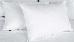 Thumbnail 22