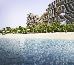 Thumbnail 394
