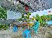 Thumbnail 37