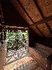 Thumbnail 63