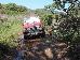 Thumbnail 157