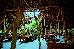 Thumbnail 80