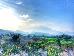 Thumbnail 85