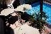 Thumbnail 45