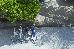 Thumbnail 196