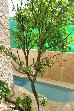 Thumbnail 44