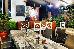 Thumbnail 19