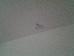 Thumbnail 23