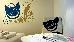 Thumbnail 38