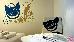 Thumbnail 46