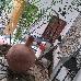 Thumbnail 31
