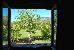 Thumbnail 60