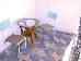 Thumbnail 52